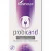 Probicand 20 cápsulas Soria Natural