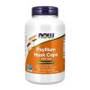 Psyllium Husk 500mg 200 cápsulas NOW